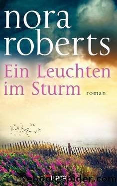 Ein Leuchten im Sturm by Roberts Nora