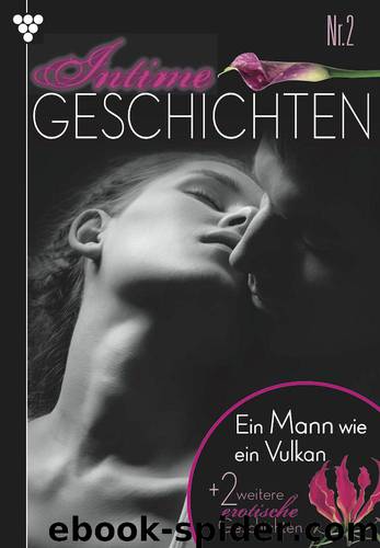 Ein Mann wie ein Vulkan: Intime Geschichten 2 (German Edition) by Perry Susan