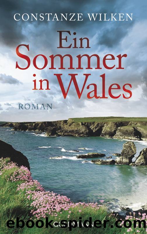 Ein Sommer in Wales by Wilken Constanze