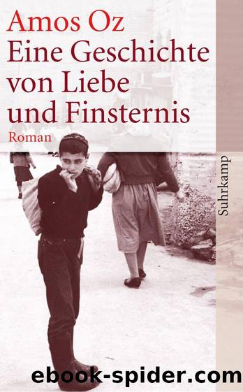 Eine Geschichte von Liebe und Finsternis by Amos Oz