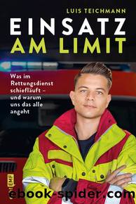 Einsatz am Limit by Teichmann Luis