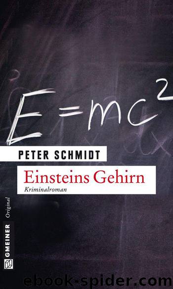 Einsteins Gehirn: Kriminalroman (German Edition) by Schmidt Peter