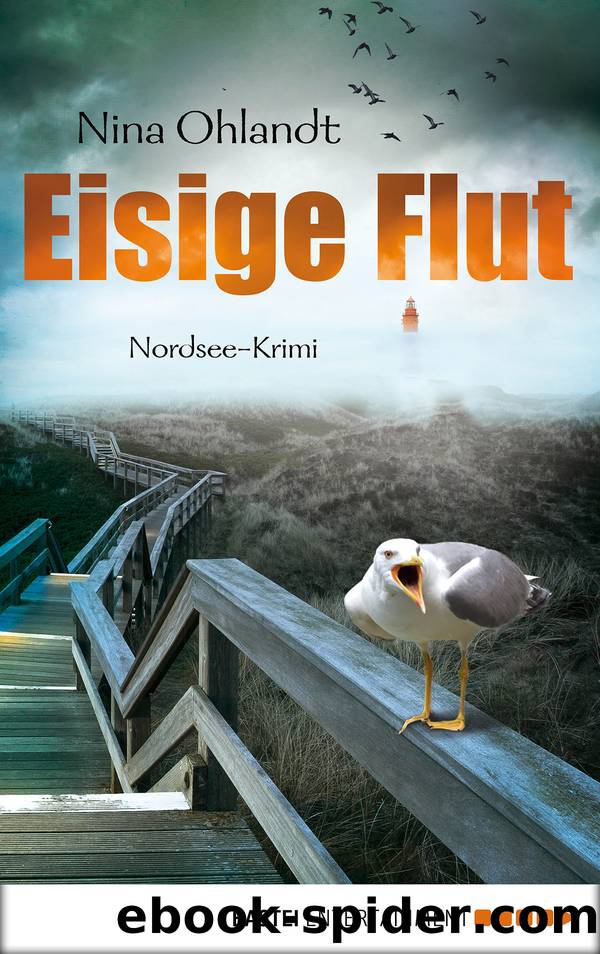 Eisige Flut by Nina Ohlandt