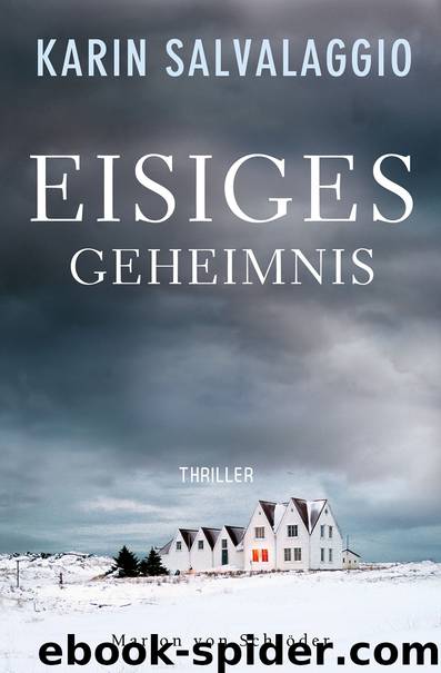 Eisiges Geheimnis by Karin Salvalaggio