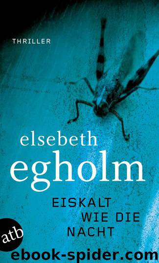 Eiskalt wie die Nacht by Elsebeth Egholm