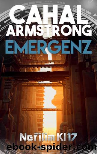 Emergenz: Nefilim KI 17 by Cahal Armstrong