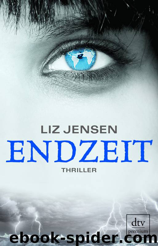 Endzeit by L Jensen