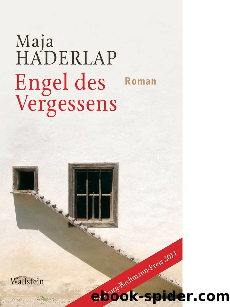 Engel des Vergessens - Roman by Wallstein Verlag