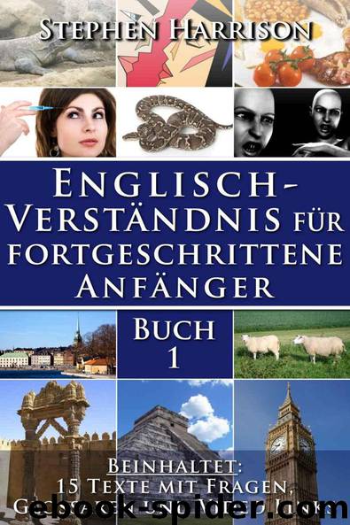 Englischverständnis für fortgeschrittene Anfänger – Buch 1 by Harrison Stephen