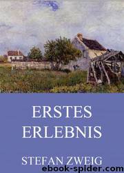 Erstes Erlebnis: Vier Geschichten aus Kinderland by Stefan Zweig