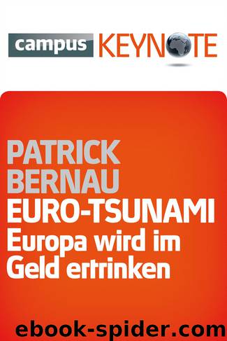 Euro-Tsunami by Bernau Patrick