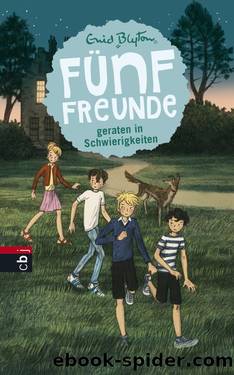 Fünf Freunde geraten in Schwierigkeiten by Blyton Enid