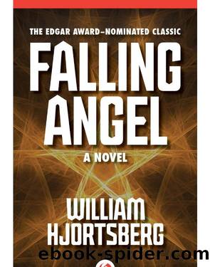 Falling Angel by William Hjortsberg