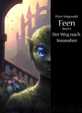 Feen Buch 1: Der Weg nach Imanahm by Peter Singewald