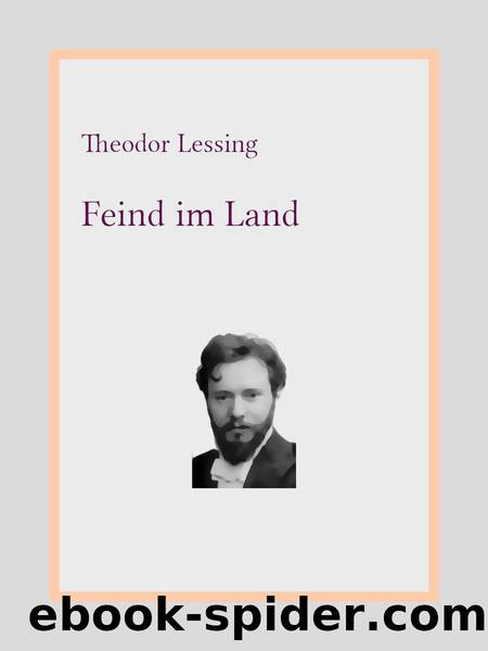 Feind im Land by Theodor Lessing