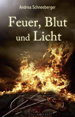 Feuer, Blut und Licht (German Edition) by Schneeberger Andrea