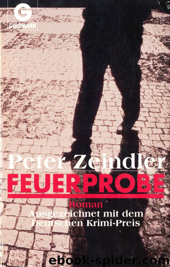 Feuerprobe by Peter Zeindler