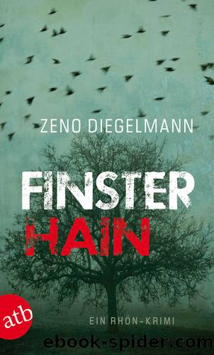 Finsterhain by Diegelmann Zeno