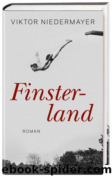 Finsterland by Viktor Niedermayer