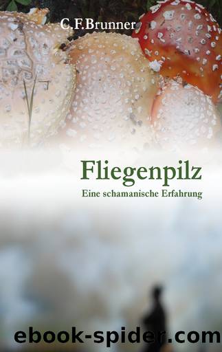 Fliegenpilz by Christian Friedrich Brunner