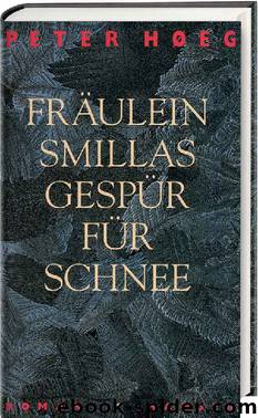 Fräulein Smillas Gespür für Schnee by Peter Høeg