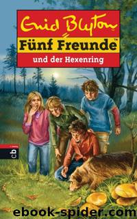 Fuenf Freunde 53 - Fuenf Freunde und der Hexenring by Blyton Enid