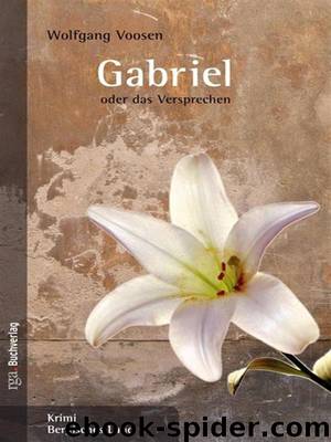 Gabriel oder das Versprechen by Wolfgang Voosen