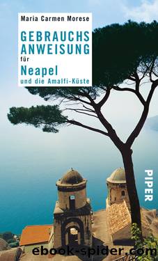 Gebrauchsanweisung für Neapel und die Amalfi-Küste by Morese Maria Carmen