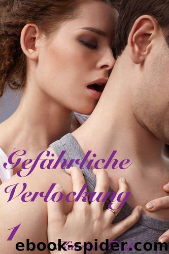 Gefährliche Verlockung - erotischer Liebesroman - Teil 1 (German Edition) by Faith Katelyn