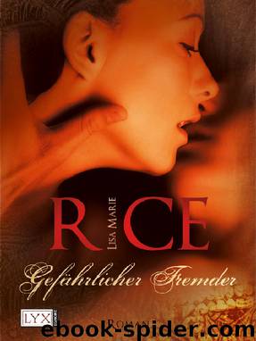 Gefährlicher Fremder - Rice, L: Gefährlicher Fremder by Lisa Marie Rice