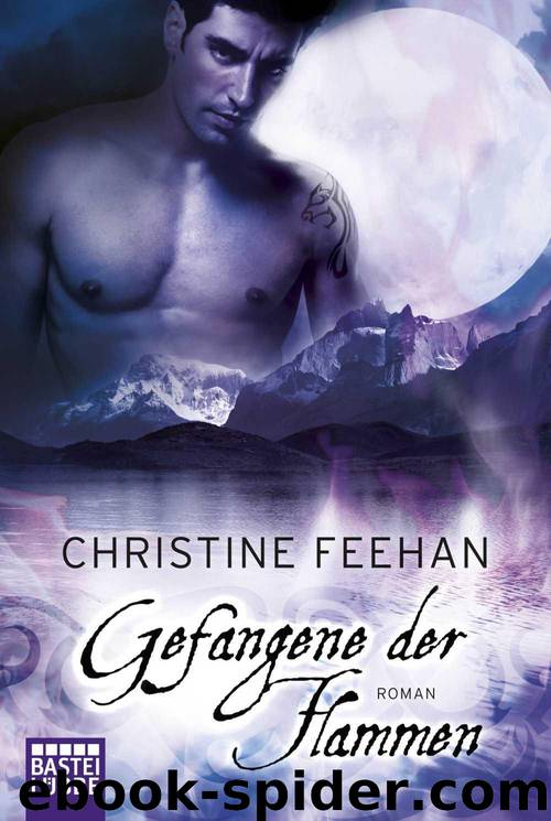 Gefangene der Flammen by Christine Feehan