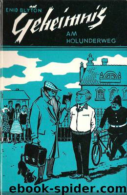 Geheimnis am Holunderweg by Blyton Enid