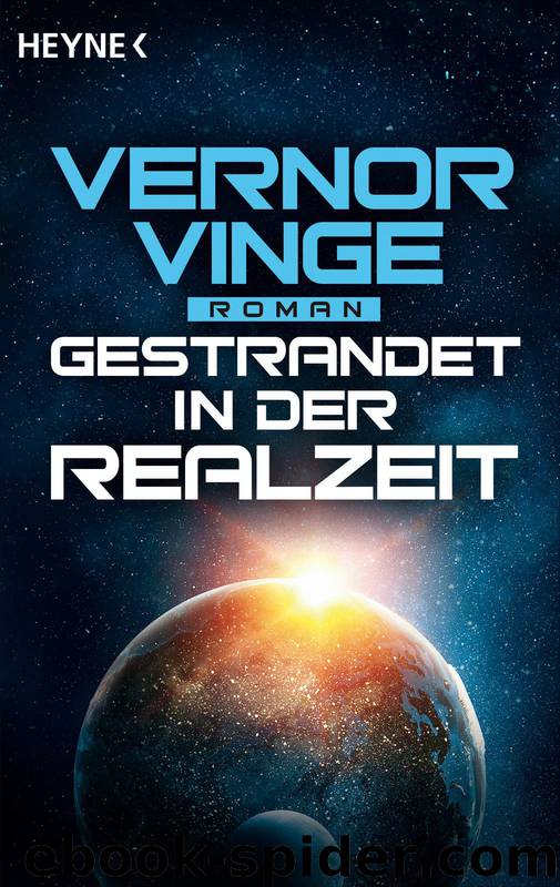 Gestrandet in der Realzeit by Vernor Vinge