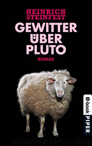 Gewitter über Pluto: Roman by Heinrich Steinfest