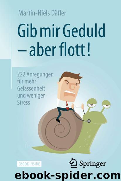 Gib mir Geduld – aber flott! by Martin-Niels Däfler