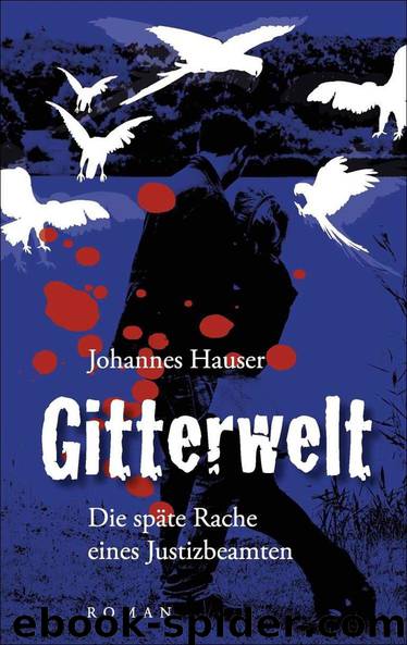 Gitterwelt: Die späte Rache eines Justizbeamten (German Edition) by Johannes Hauser