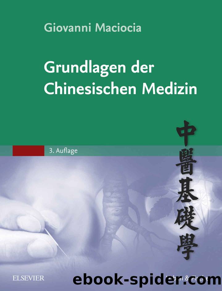 Grundlagen der chinesischen Medizin (German Edition) by Giovanni Maciocia