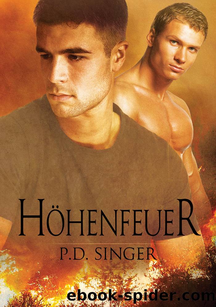 HÃ¶henfeuer by P.D. Singer