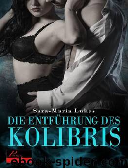 Hard & Heart 01 - Die Entführung des Kolibris by Sara-Maria Lukas