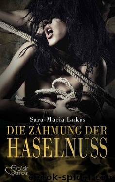 Hard & Heart 3: Die Zähmung der Haselnuss (German Edition) by Sara-Maria Lukas