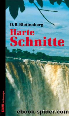 Harte Schnitte by D.B.Blettenberg