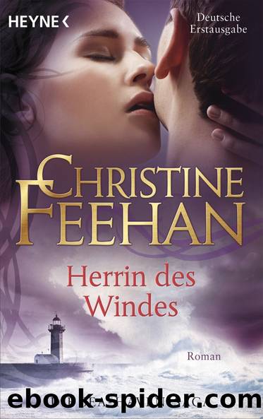 Herrin des Windes by Feehan Christine