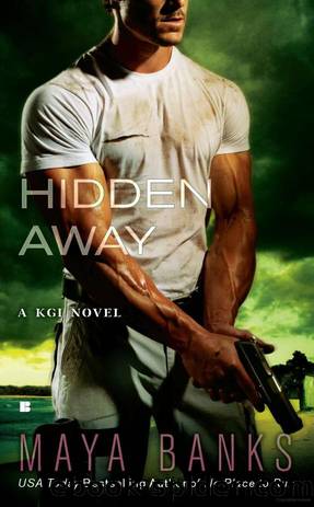 Hidden Away by Maya Banks