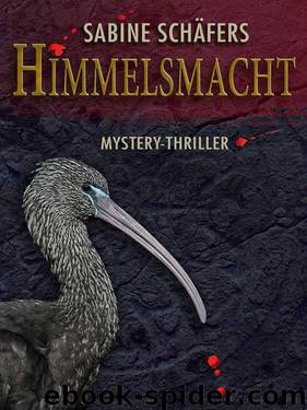 Himmelsmacht (German Edition) by Schäfers Sabine