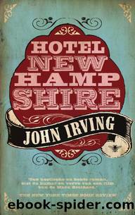 Hotel New Hampshire by John Irving