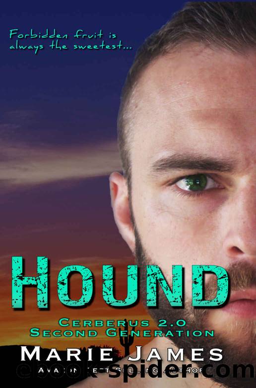 Hound Cerberus 2.0 Book 2 by Marie James