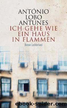 Ich gehe wie ein Haus in Flammen by Lobo Antunes António