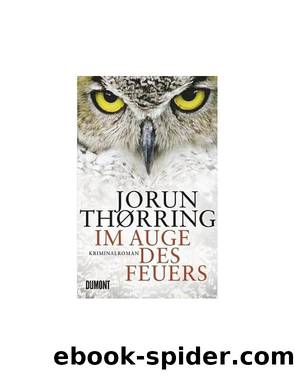 Im Auge des Feuers by Jorun Thörring