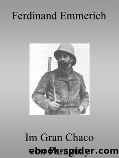 Im Gran Chaco von Paraguay by Ferdinand Emmerich