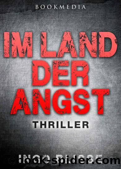 Im Land der Angst: Thriller (German Edition) by Ingo Blisse